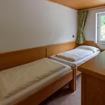 Ausswinkl Russbach am Pass Gschütt