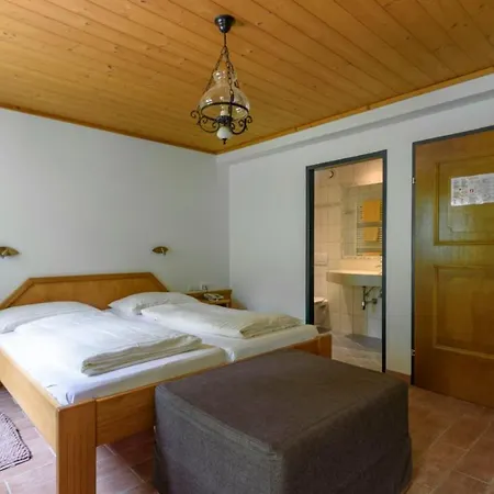 Hotel Ausswinkl Russbach am Pass Gschütt