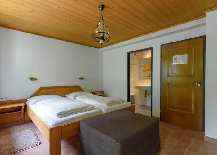 Hotell Ausswinkl Rußbach am Paß Gschütt